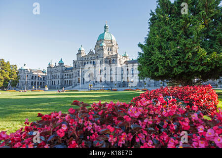 Rot Begonia Blumen vor dem Gebäude des Parlaments in Victoria, Kanada, Nordamerika Stockfoto