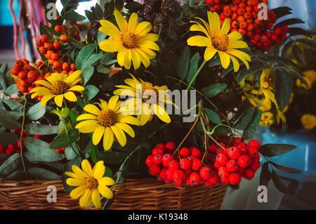 Herbst Blumenstrauß mit aster Blumen und trockenen Blättern. Gelbe Margeriten und rote Asche in den Korb Stockfoto