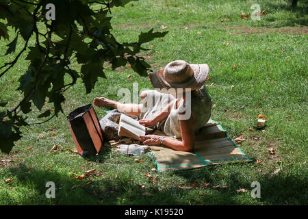 London, Großbritannien. 25 Aug, 2017. Eine Frau liest im Green Park wie der Sonnenschein an einem herrlich sonnigen Tag in London Kreditkarte Versandkosten: Amer ghazzal/Alamy leben Nachrichten Stockfoto