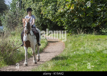 London, Großbritannien. 26 Aug, 2017. Reiter aus dem lokalen stabilen geniessen Sie eine Fahrt in die Sonne auf Wimbledon Common mit warmem Wetter im August Bank Holiday Wochenende vorhergesagt. Credit: Amer ghazzal/Alamy leben Nachrichten Stockfoto