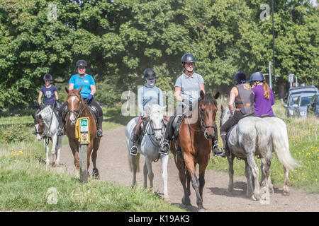 London, Großbritannien. 26 Aug, 2017. Reiter aus dem lokalen stabilen geniessen Sie eine Fahrt in die Sonne auf Wimbledon Common mit warmem Wetter im August Bank Holiday Wochenende vorhergesagt. Credit: Amer ghazzal/Alamy leben Nachrichten Stockfoto