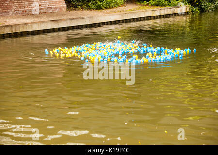 Newbury Wasserstraßen festival Duck Race Stockfoto