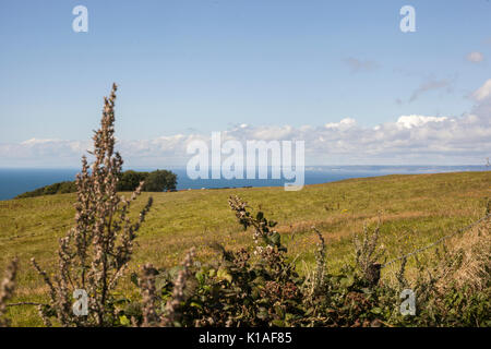 Blick auf das Meer die Küste von Dorset Stockfoto