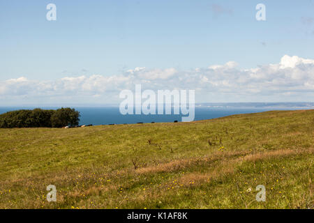 Blick auf das Meer von der Dorset Küste Stockfoto