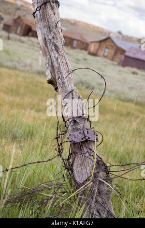 Stacheldraht um Post im Feld eingewickelt in Bodie State Historic Park, Stockfoto