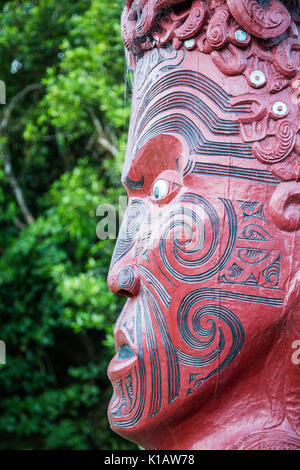 Eine rote Maori Carving oder Whakairo in einem Pol oder Pouwhenua an tieke Kainga in Neuseeland Stockfoto