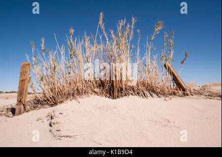 Alten Wüste Zaun Hintergrund Stockfoto