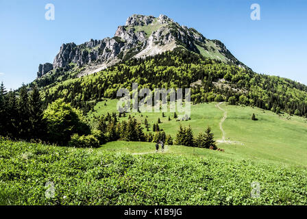 Rocky dolomitian Velky Rozsutec Hügel mit Alm- und Wanderweg mit Wanderer auf Medziholie in der Mala Fatra Gebirge in der Slowakei bei schönem d Stockfoto