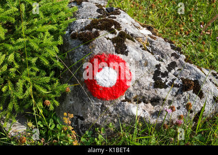 Rote und weiße Kreis trail flammende Zeichen im Wald Stockfoto