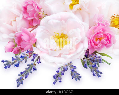 Große pale pink und kleinen hellen rosa Rosen und Lavendel Blumenstrauß auf dem weißen Hintergrund Stockfoto