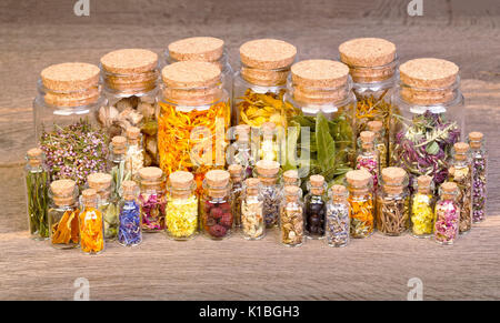 Healing Herbs in Flaschen für pflanzliche Arzneimittel auf alten Holztisch. Stockfoto