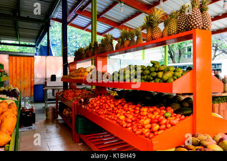 Farmers Market, produzieren stand in Play Del Carmen, Mexiko Stockfoto