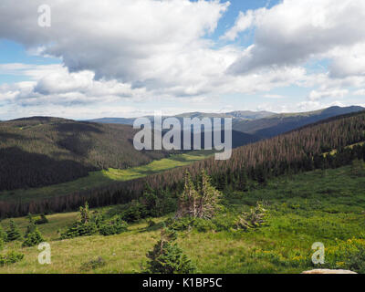 Sommer in den Rocky Mountains National Park in Colorado. Weiße geschwollene Wolken im blauen Himmel werfen Schatten auf die Berge und Wiesen unten Stockfoto