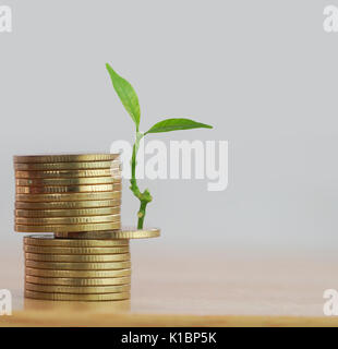 Reihe von Geld Münzen mit Baum aufwachsen, Konzept, Sparen, Finanzen und Investitionen in Unternehmen Stockfoto