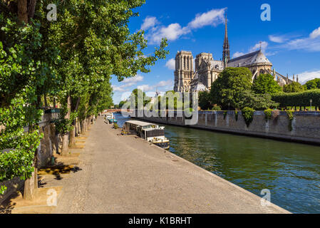 Die Kathedrale Notre Dame de Paris auf der Ile de la Cite mit der Fluss Seine und Quai de Montebello im Sommer. Paris, Frankreich Stockfoto