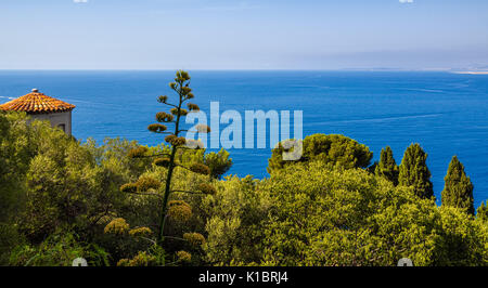 Mittelmeer und Bäume in Nizza. Panoramablick auf die erhöhten Blick auf die Französische Riviera, Cote d'Azur, Alpes Maritimes, Frankreich Stockfoto