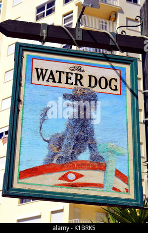 Das Wasser Hund pub Anmelden Armacao De Pera Stockfoto