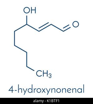 4-Hydroxynonenal (HNE) Molekül. Metaboliten durch Lipidperoxidation von mehrfach ungesättigten Omega-6-Fettsäuren produziert. Skelettmuskulatur Formel. Stock Vektor