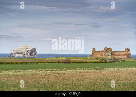 Schottland - Bass Rock und Tantallon Castle können gemeinsam von der East Lothian Scenic route gesehen werden, in der Nähe von Dunbar und North Berwick. Stockfoto