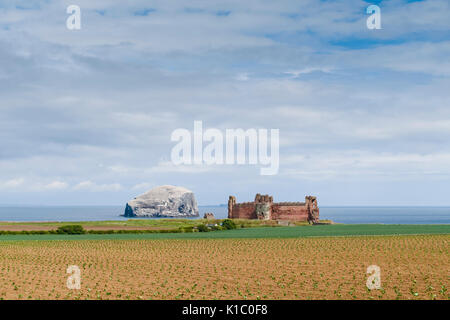 Schottland - Bass Rock und Tantallon Castle können gemeinsam von der East Lothian Scenic route gesehen werden, in der Nähe von Dunbar und North Berwick. Stockfoto
