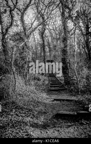 Porthkerry Country Park in Barry, Vale von Glamorgan, Wales. Stockfoto