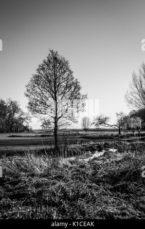 Porthkerry Country Park in Barry, Vale von Glamorgan, Wales. Stockfoto