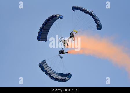 Die Tiger die Prinzessin von Fallschirm Wales's Royal Regiment Display Team der Britischen Armee Fallschirmspringen während der clacton Airshow. Drei verbundenen Stockfoto