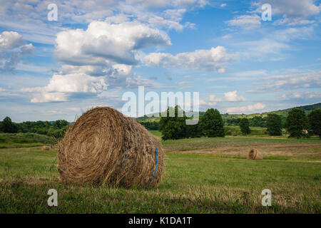 Frisch gerollten Ballen Heu zur Ernte bereit unter einem schönen Himmel mit Puffy clouds gefüllt Stockfoto