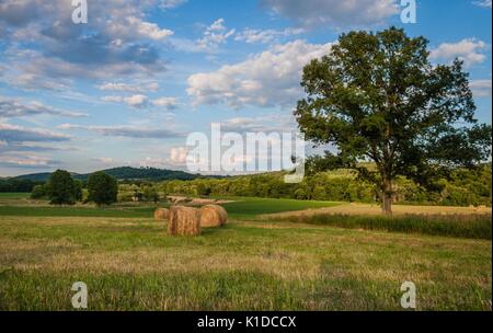 Frisch gerollten Ballen Heu zur Ernte bereit unter einem schönen Himmel mit Puffy clouds gefüllt Stockfoto