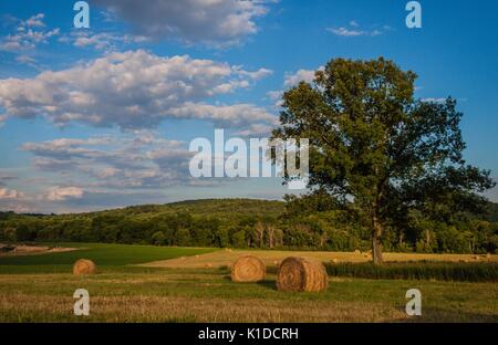 Frisch gerollten Ballen Heu zur Ernte bereit unter einem schönen Himmel mit Puffy clouds gefüllt Stockfoto