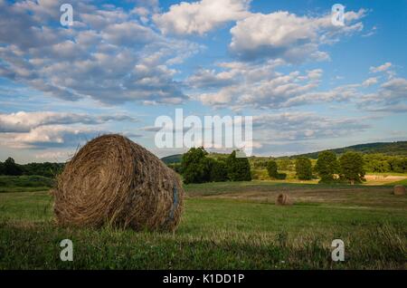 Frisch gerollten Ballen Heu zur Ernte bereit unter einem schönen Himmel mit Puffy clouds gefüllt Stockfoto