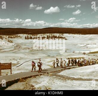 Eine Gruppe von Touristen im Vordergrund gesehen werden kann zu Fuß aus Norris Geyser Basin, andere Gruppen und Familien auf dem Weg Dehnen in der Ferne zu sehen ist, Masse ist meistens grau mit kleinen Gruppen von Bäumen in Richtung heavy Vegetation im Hintergrund führende, Yellowstone National Park, Wyoming, 1982. Stockfoto