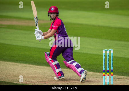 London, Großbritannien. 26. August 2017. xxxx schlagen für Loughborough Blitz gegen Surrey Sterne in der Kia Super League T20 Cricket Match am Kia Oval. David Rowe/Alamy leben Nachrichten Stockfoto