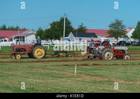 DUNDAS, PRINCE EDWARD ISLAND, Kanada - 25 August: Wettbewerber mit amtique Traktoren am PEI Pflügen und landwirtschaftliche Messe am 25. August 201 Pflug Stockfoto
