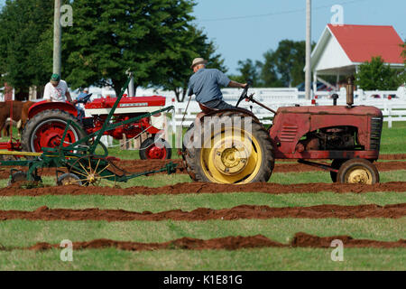 DUNDAS, PRINCE EDWARD ISLAND, Kanada - 25 August: Wettbewerber mit amtique Traktoren am PEI Pflügen und landwirtschaftliche Messe am 25. August 201 Pflug Stockfoto