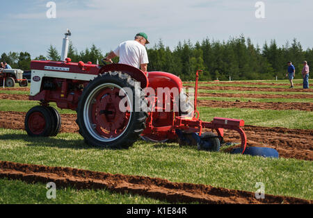 DUNDAS, PRINCE EDWARD ISLAND, Kanada - 25 August: Wettbewerber mit amtique Traktoren am PEI Pflügen und landwirtschaftliche Messe am 25. August 201 Pflug Stockfoto