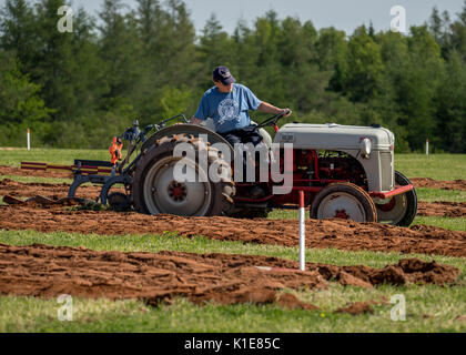 DUNDAS, PRINCE EDWARD ISLAND, Kanada - 25 August: Wettbewerber mit amtique Traktoren am PEI Pflügen und landwirtschaftliche Messe am 25. August 201 Pflug Stockfoto