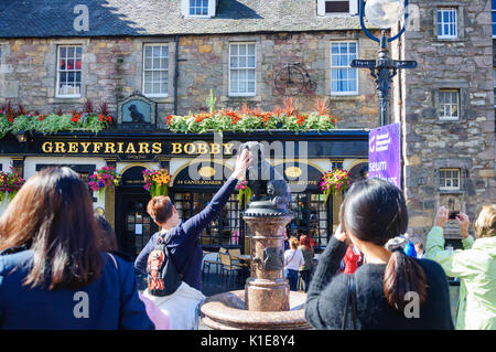 Edinburgh, Schottland, Großbritannien. 26 August, 2017. Am Ende der letzten Woche der 70. Jahrestag des Edinburgh International Fringe Festival Menschen besuchen die Statue von greyfriars Bobby die Nase des Hundes für Glück zu berühren, Greyfriars Bobby war ein Skye Terrier, die im 19. Jahrhundert bekannt wurde - Edinburgh für angeblich 14 Jahre bewachen das Grab von seinem Besitzer, bis er sich am 14. Januar 1872 starb. Credit: Skully/Alamy leben Nachrichten Stockfoto