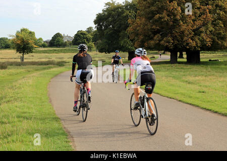 Richmond Park, SW London, UK. 27 Aug, 2017. Radfahrer geniessen Sie einen Vormittag Fahrt bevor es zu im Richmond Park in South West London UK heißen. Credit: Julia Gavin/Alamy leben Nachrichten Stockfoto