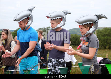 Moorschnorchelweltmeisterschaft, Llanwrtyd Wells, Powys, Wales, Großbritannien - 2017. August - die Zuschauer in Shark freuen sich, einem Konkurrenten zuzujubeln und zu applaudieren, während sie in kürzester Zeit entlang eines 60-Meter-Grabens durch ein Moor schnorcheln Stockfoto