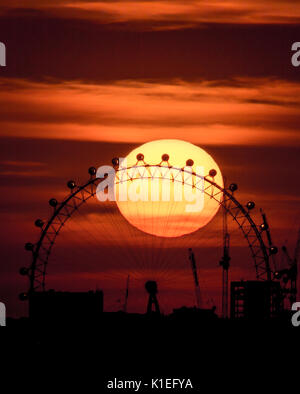 London, Großbritannien. 27 August, 2017. UK Wetter: dramatischer Sonnenuntergang hinter London Eye Riesenrad © Guy Corbishley/Alamy leben Nachrichten Stockfoto