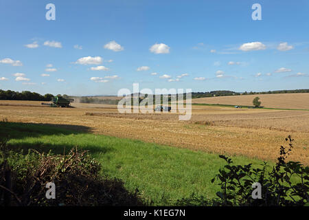 Winchester, Basingstoke, Hampshire, UK. 27 Aug, 2017. Die Getreideernte mit Mähdrescher und zwei Traktoren mit Korn Anhänger an einem schönen Sommertag in Rolling Hampshire Landschaft. Kredit Michael Hill-King Credit: MHK/Alamy leben Nachrichten Stockfoto