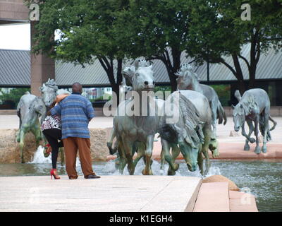 Dallas, USA. 27 Aug, 2017. Die äußeren Bänder der Regen vom ehemaligen Hurrikan Harvey, nun, der Tropische Sturm Harvey, haben Dallas erreicht. Die Katastrophenhilfe Tierheim an der Walnut Hill Recreation Center eingestellt war voll, aber die Leute schienen draußen genießen Sie einen Tag ohne Regengüsse und Winde. Die Luft ist beladen mit Feuchtigkeit und an einigen Stellen heute sah es aus wie Nebel vor und nach ein paar Minuten Regen aus der Luft so gesättigt. Credit: dallaspaparazzo/Alamy leben Nachrichten Stockfoto