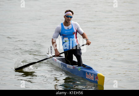 Racice, Tschechische Republik. 27 Aug, 2017. Martin Fuksa der Tschechischen gewann ICF Canoe Sprint Welt 2017 Meisterschaften C1 Männer 500m Finale in Racice, Tschechien, am 27. August 2017. Credit: Katerina Sulova/CTK Photo/Alamy leben Nachrichten Stockfoto