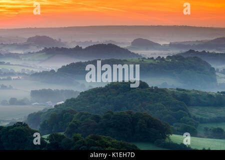 Bridport, Dorset, Großbritannien. 28. August 2017. UK Wetter. Eine spektakuläre Sommer Sonnenaufgang mit leichten Nebel in den Tälern rund um die Hügel von Bridport in Dorset. Foto: Graham Jagd-/Alamy leben Nachrichten Stockfoto