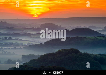 Bridport, Dorset, Großbritannien. 28. August 2017. UK Wetter. Eine spektakuläre Sommer Sonnenaufgang mit leichten Nebel in den Tälern rund um die Hügel von Bridport in Dorset. Foto: Graham Jagd-/Alamy leben Nachrichten Stockfoto