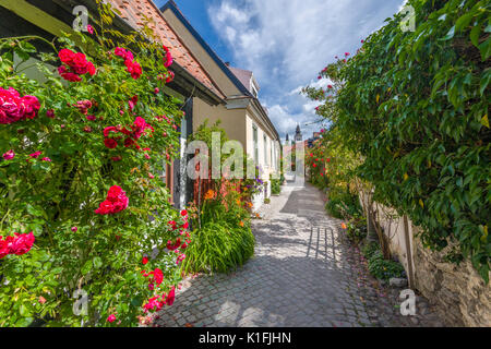 In der alten Hansestadt Visby auf Gotland Fiskargränd Insel in der Ostsee, Schweden Stockfoto