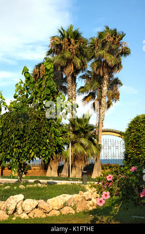 Oropesa del Mar, Spanien - 26. Juli 2016: Malerische Marina d'Or Garten im Oropesa del Mar Resort Stadt. Spanien Stockfoto