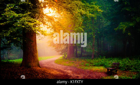 Parc de Saint-Cloud im Nebel Stockfoto