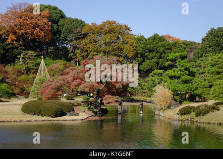 Rikugien Park mit dem Teich im Herbst in Tokio, Japan. Metropolitan Tokyo hat die größte Volkswirtschaft der Welt. Stockfoto